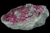 Vibrant, Magenta Erythrite Crystals - Morocco #93596-1